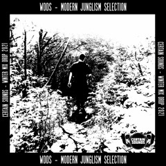 WDDS - Modern Junglism Selection | Certain Sounds Winter Mix Drop 2021 | Part One