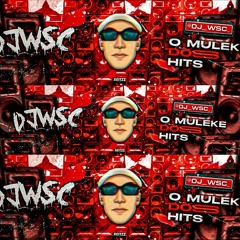 MEGAFUNK HOJE EU SO QUERO TE EMPURRAR (DJWevertonSC)