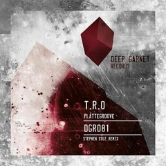 TRO - Plattegroove (Stephen Cole Remix) [DGR081]