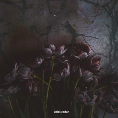 Requiem