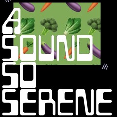 A Sound So Serene 008