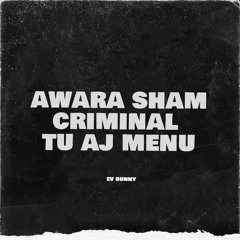 Awara Sham X Criminal X Tu Aj Menu | EV BUNNY