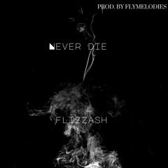 Never Die - Flizzash (Prod. by Fly Melodies)