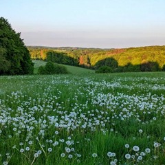 my inner landscape