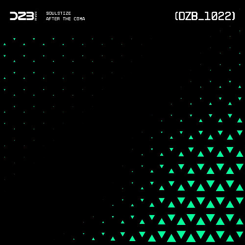 dZb 1022 - Soulstize - Fragmented Doctrine (Original Mix).