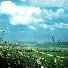 Forager Records w/ Phil Mateo 020125