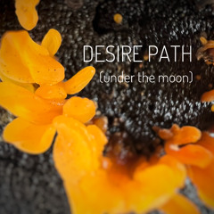 DESIRE PATH (under the moon)