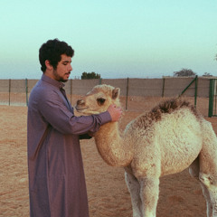 المهندس x مسفر السندوانه
