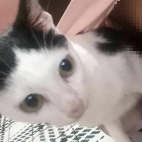 vaicaunoicokhiennguoithaydoi - (GreyD x Tlinh)