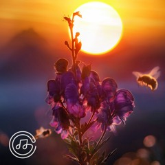 Save the bees