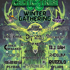 Celtic Tribe
