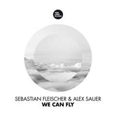 Sebastian Fleischer & Alex Sauer - We Can Fly (The Electronic Advance Remix)