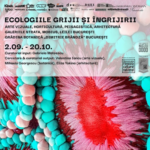 Stream Interviu cu curatoarea Valentina Iancu by