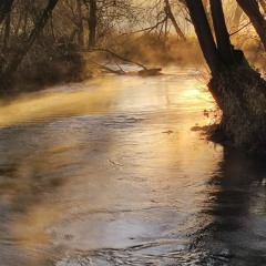 Dub Life(Original Mix)