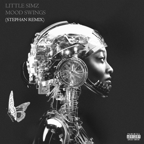 LITTLE SIMZ - MOOD SWINGS (STEPHAN REMIX)