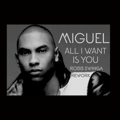 Miguel- All I Want Is You (Robb Swinga Rework)