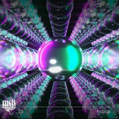 melt mix vol. 25 - Indicia