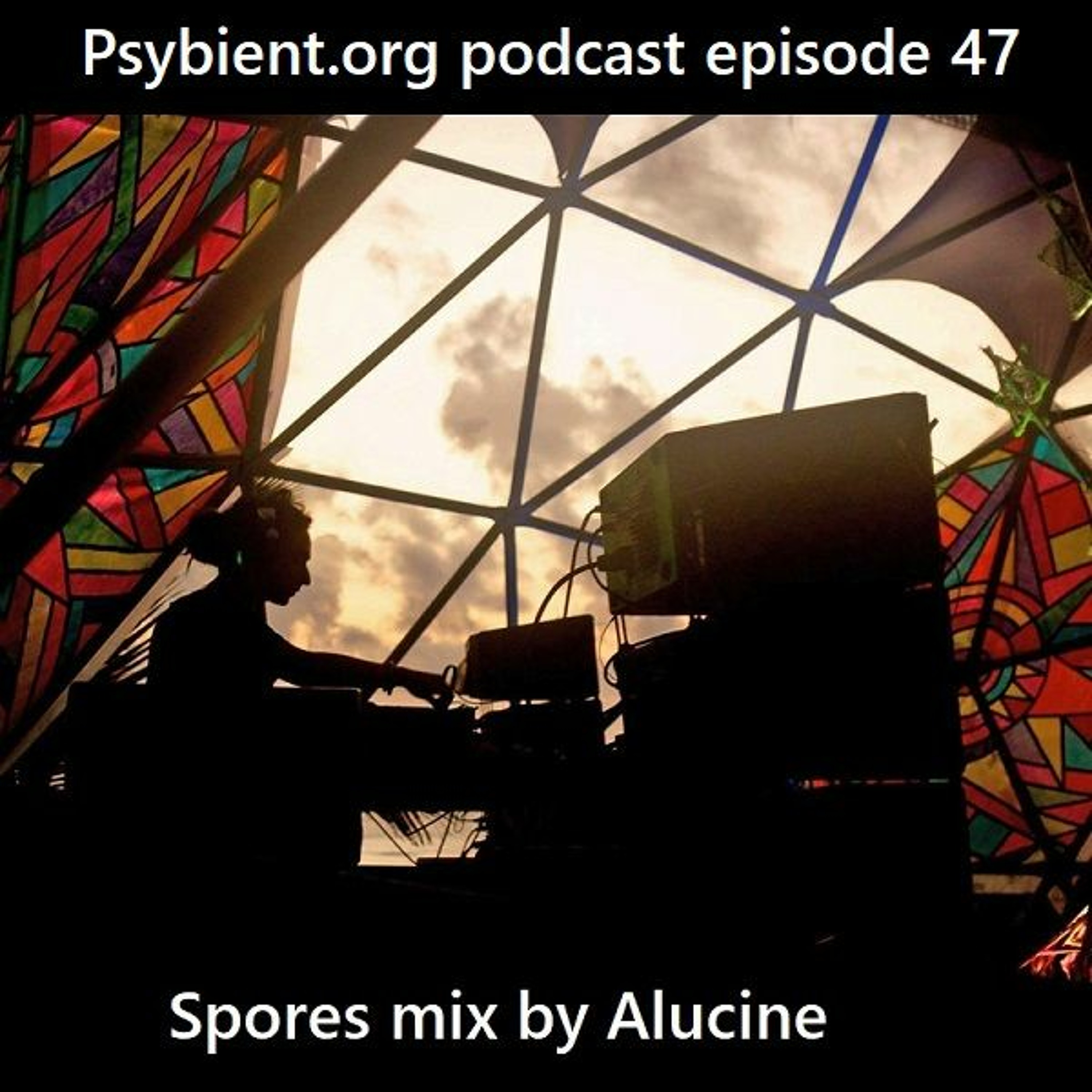 LIVE LOVE CREATE Podcast