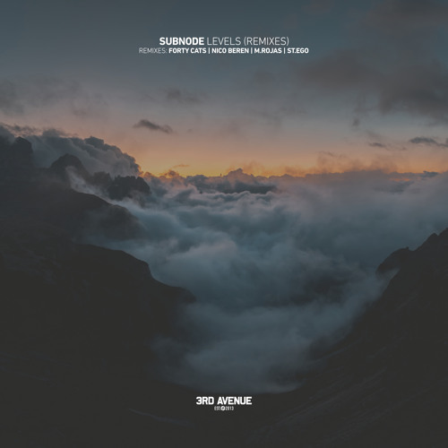 PREMIERE: Subnode - Levels (Forty Cats Remix) [3rd Avenue]