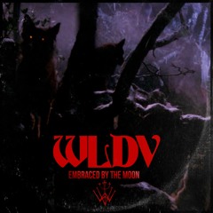 WLDV - Never Trust A Stranger Friend