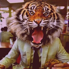 Why I Follow the Tigers ( Frank Chambers Live Mix )