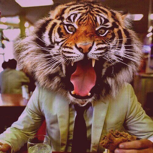 Why I Follow the Tigers ( Frank Chambers Live Mix )