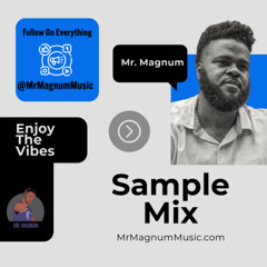 Mr. Magnum Sample Mixes