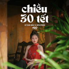 Chiều 30 Tết (Lofi)