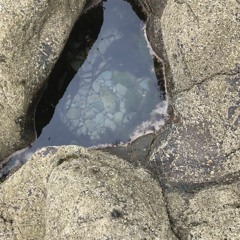 Beeches w/ Callum Asa - September 2021