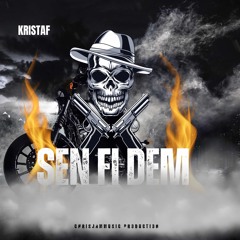 Sen FI Dem
