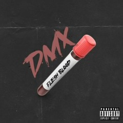 DMX Presents x ISM 2021