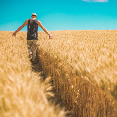 Golden Fields