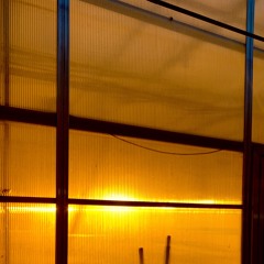 Gayane (Tonnan Mòra)