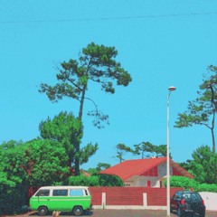 The Laid-Back Summer 2020 Mix: Vol. 001 - Hayes Ewald
