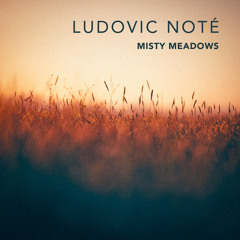 Misty Meadows