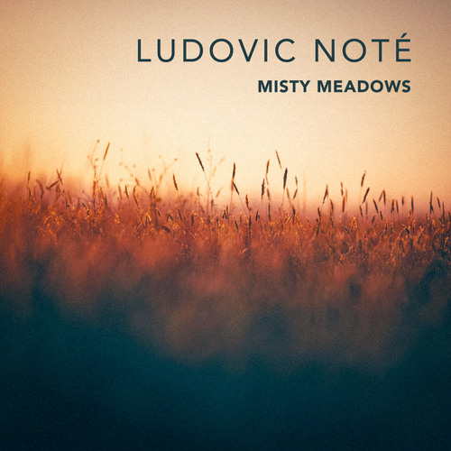 Misty Meadows