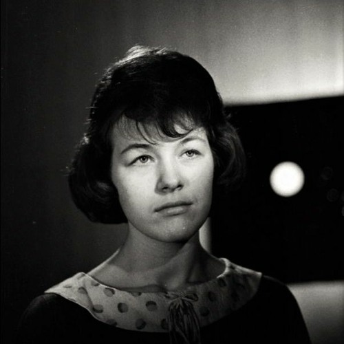 Tiiu Varik - Paju