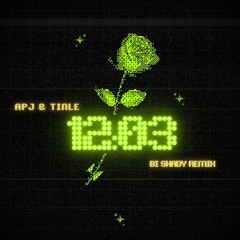 12h03 ( Bi Shady Remix ) - APJ & Tinle