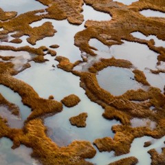 Instrumental_Interludes