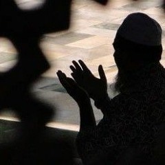 الشيخ محمود هاشم ( الإحساس نعمة )
