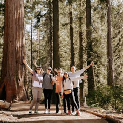 Review Special Price Yosemite National Park & Giant Sequoias 2-Day Semi-Guided Tour