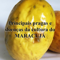 Principais Pragas E Doenças Da Cultura Do MARACUJÁ