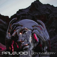 PaleVoid- Joy In Misery
