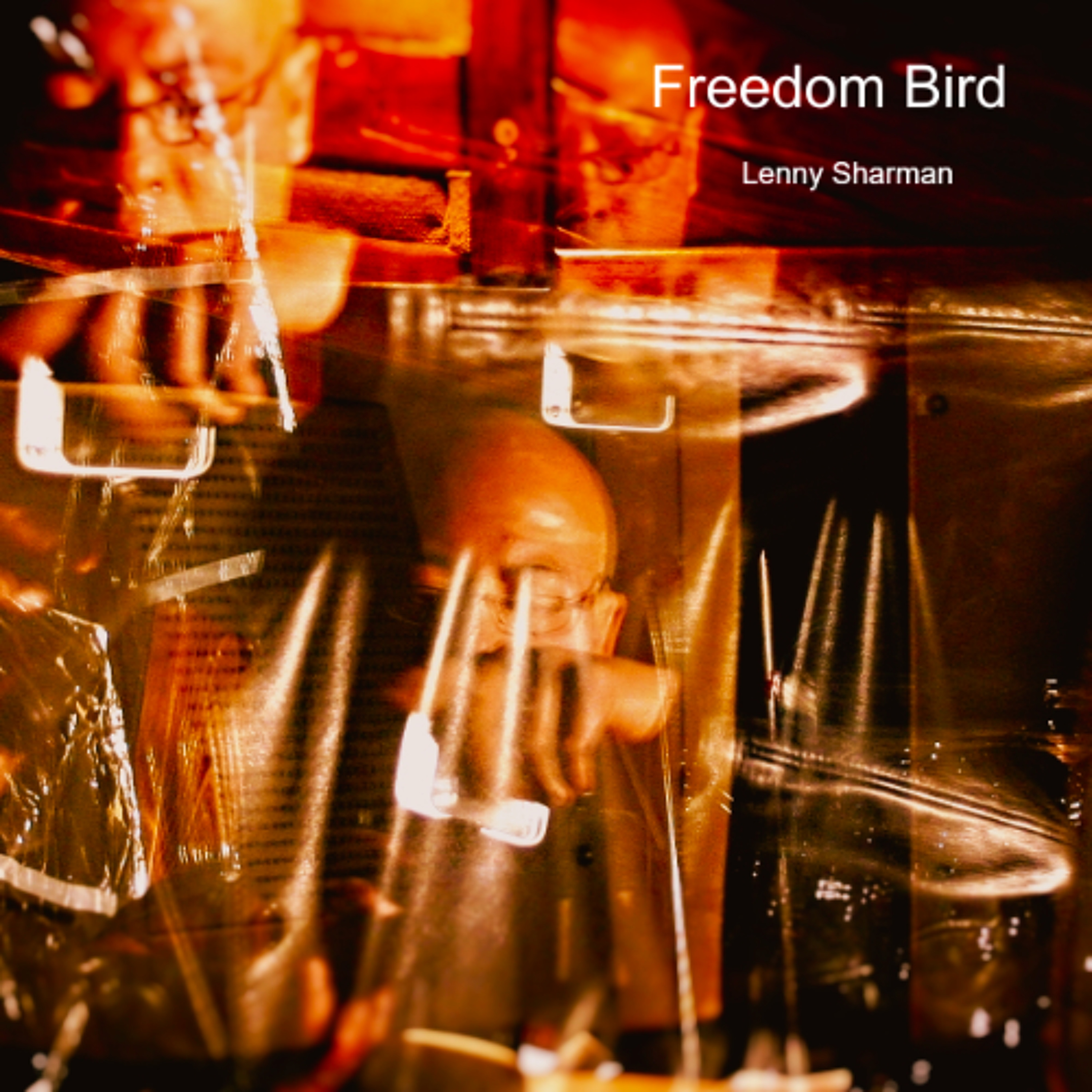Freedom Bird episode artwork