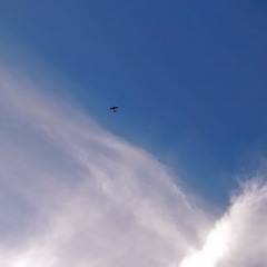 Igan Asgarli Musical Composition Integration