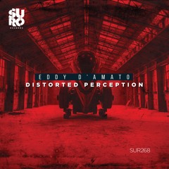 Distorted Perception (Original Mix)