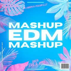 EDM MASHUP PACK 2023 [By Ryo & Pine] (Free DL)