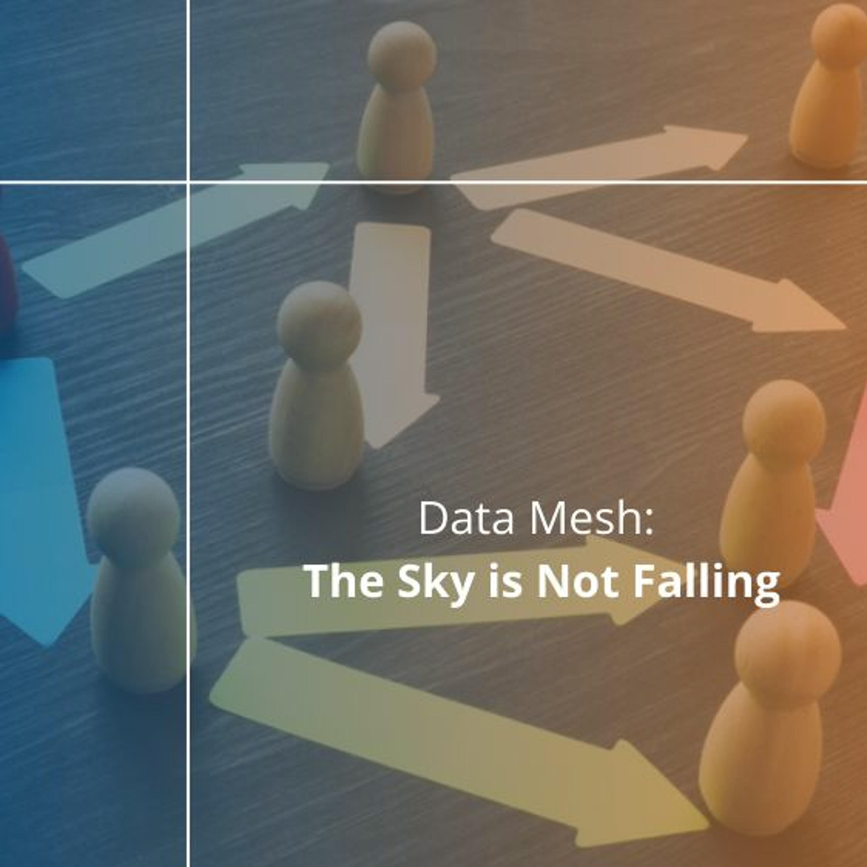 cover of episode Data Mesh: The Sky Is Not Falling - Audio Blog