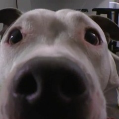 eleventhirteen - comatose/AMG ft. trev mas