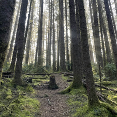 thetemperaturefeelslikecrying